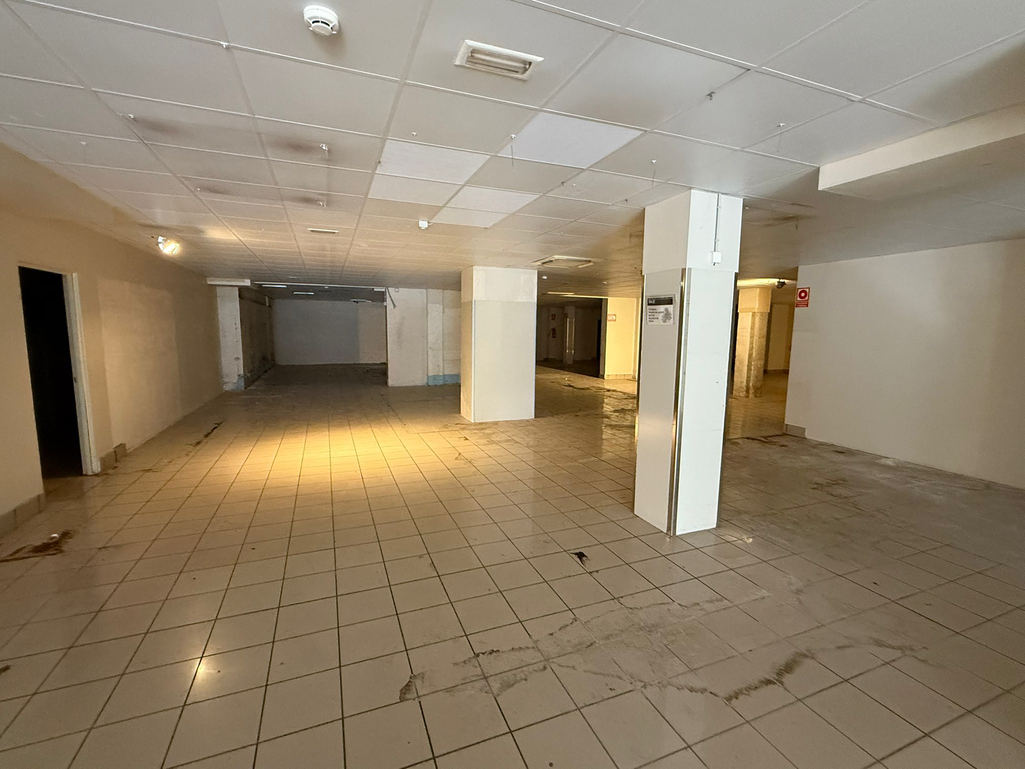 WhatsApp Image 2025-04-29 at 10.32.06 (1)