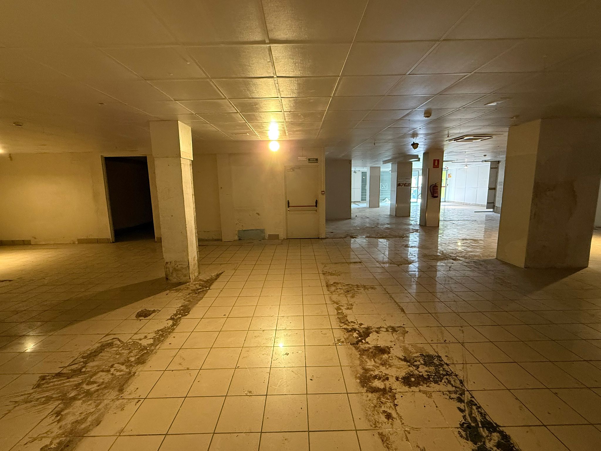 WhatsApp Image 2025-04-29 at 10.32.06 (5)