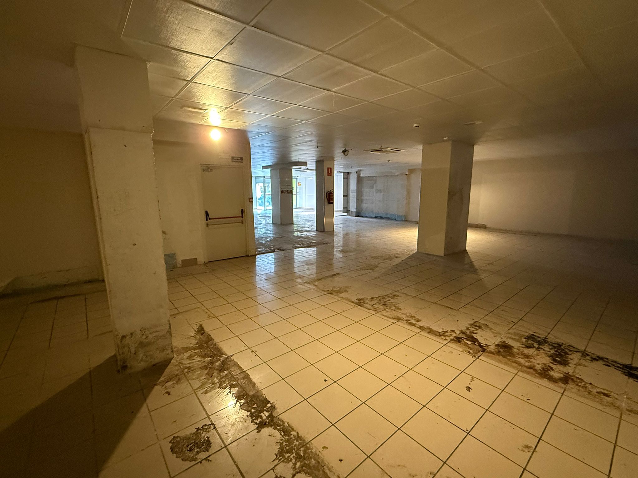 WhatsApp Image 2025-04-29 at 10.32.06 (6)