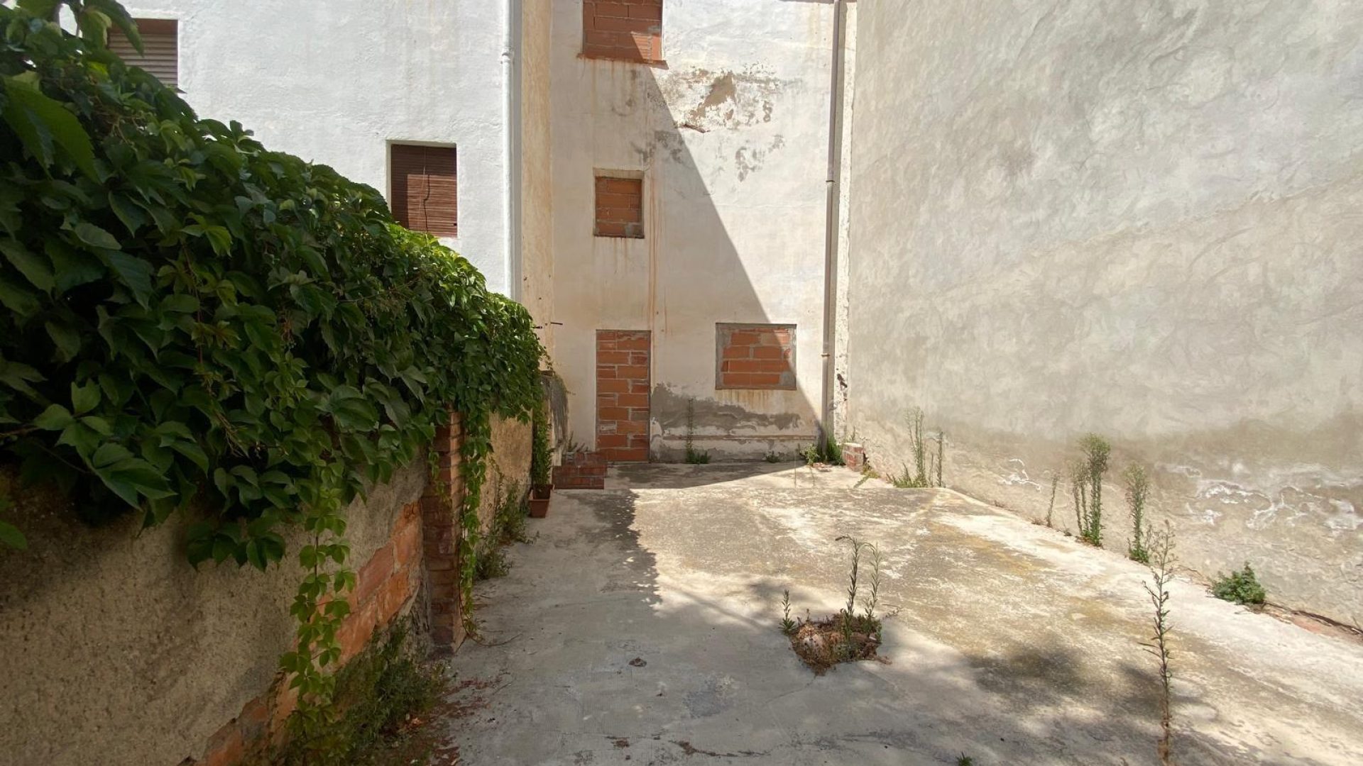 foto7